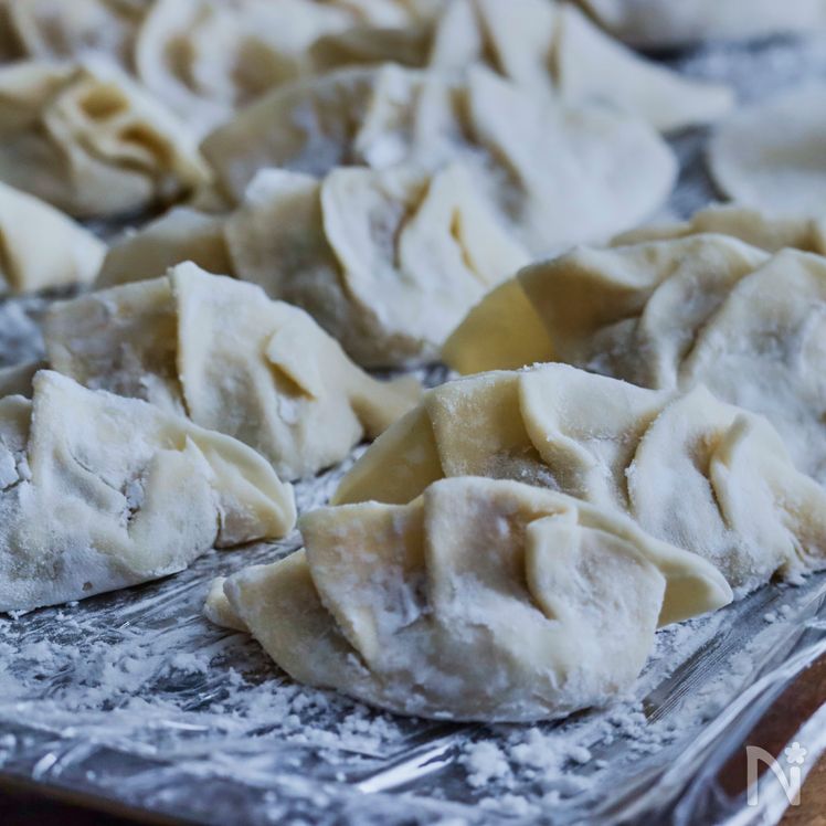 Pan-fried Gyoza Dumplings Process13