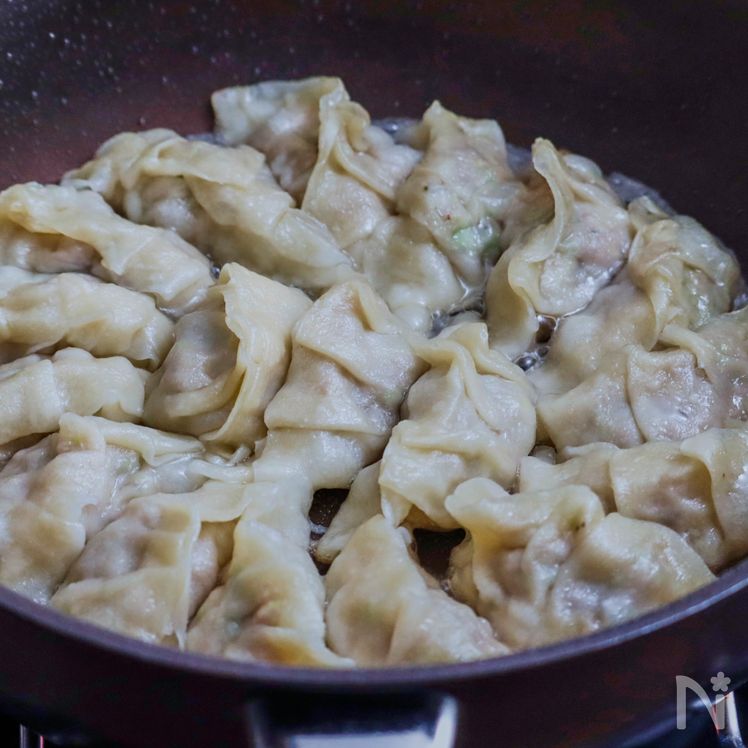 Pan-fried Gyoza Dumplings Process15