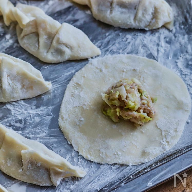 Pan-fried Gyoza Dumplings Process12
