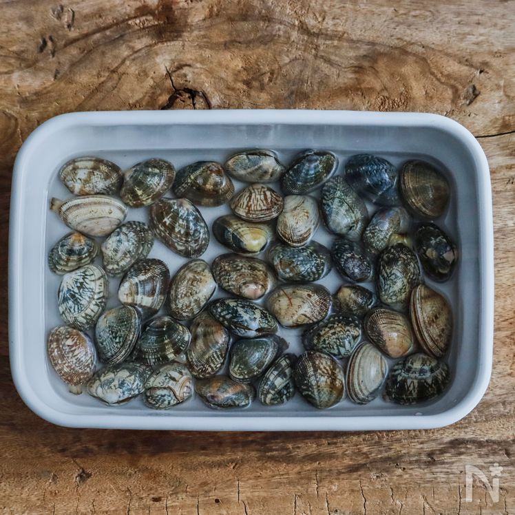 Sake-steamed Manila Clams Preparation