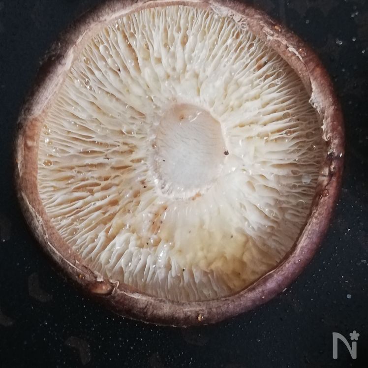 Pan-Seared Shiitake Mushrooms – Easy, Fluffy, and Delicious Process3