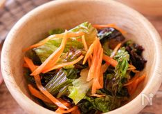 Lettuce and Carrot Salad with Simple Homemade Dressing