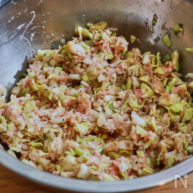 Pan-fried Gyoza Dumplings Process10